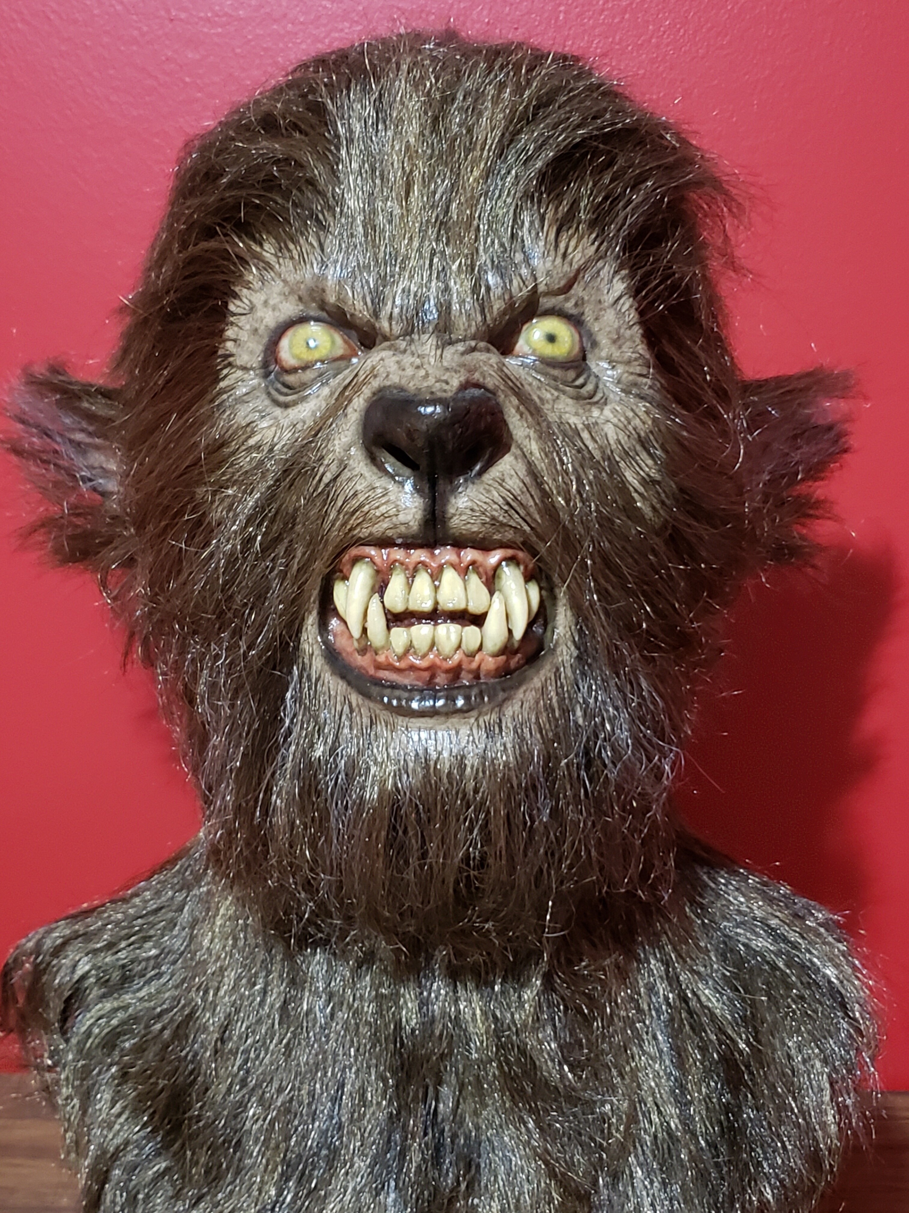 20190422_112438.jpg
