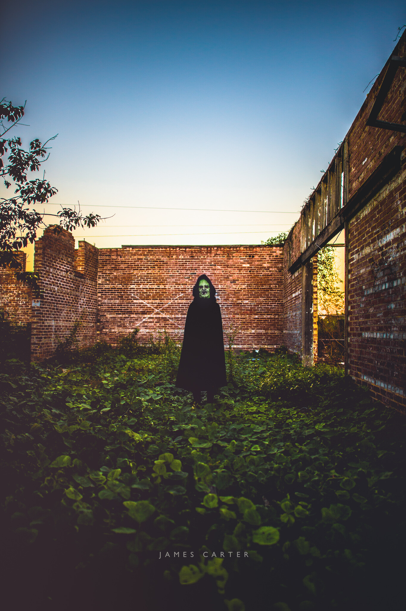 untitled-5765-Edit.jpg