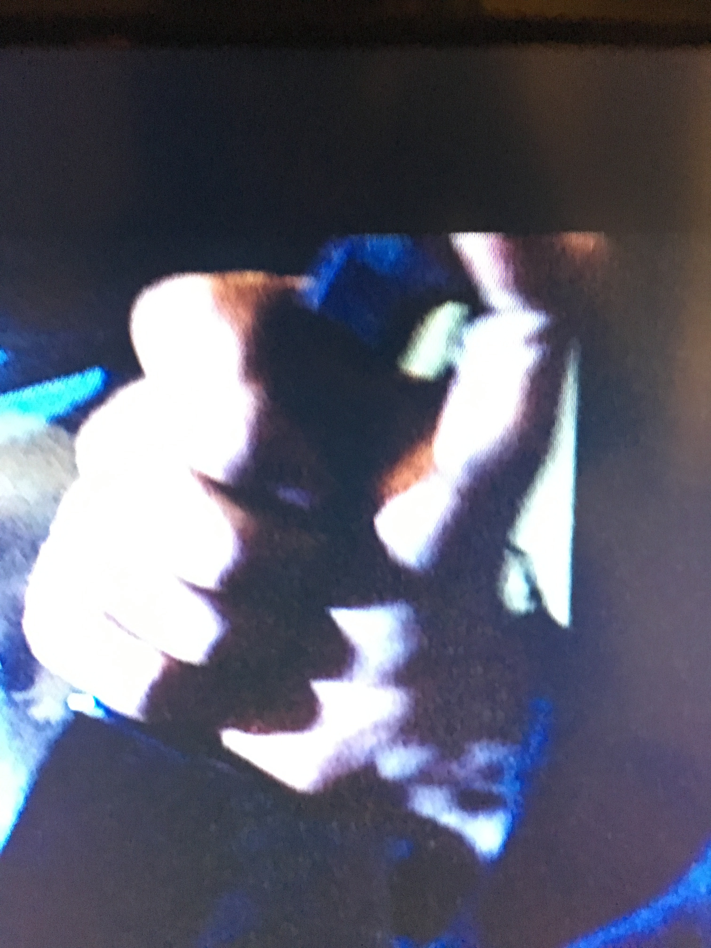 image.jpeg