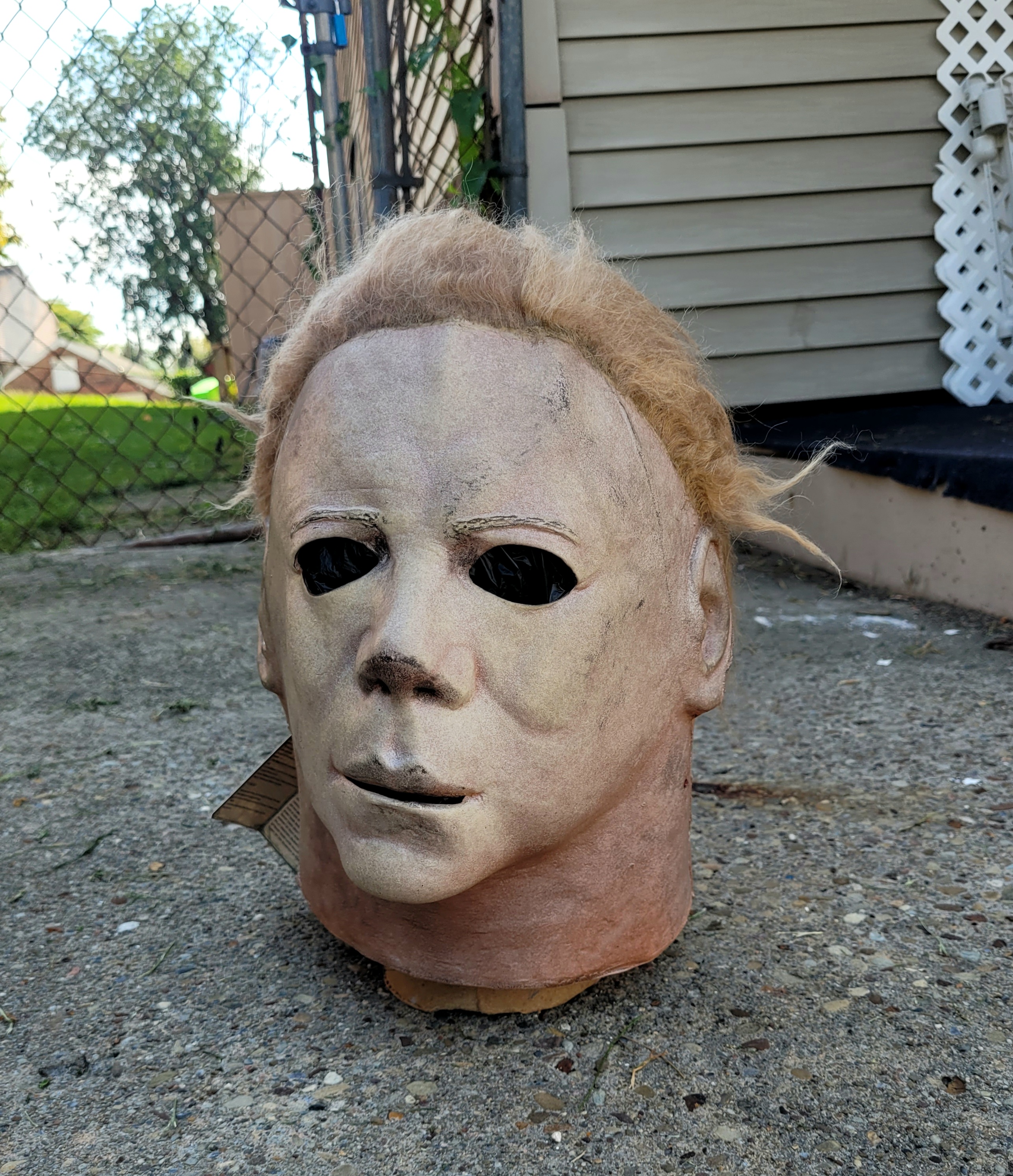 20230905_143733_resized (1).jpg