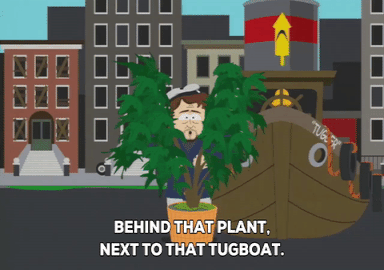 source.gif