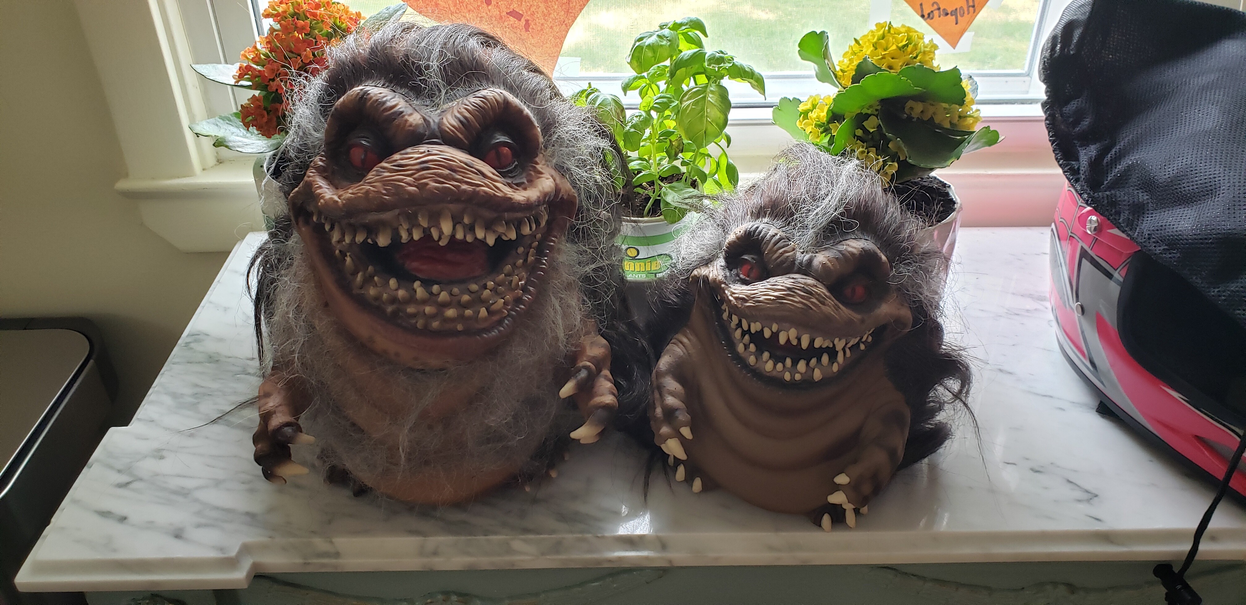 Critters.jpg
