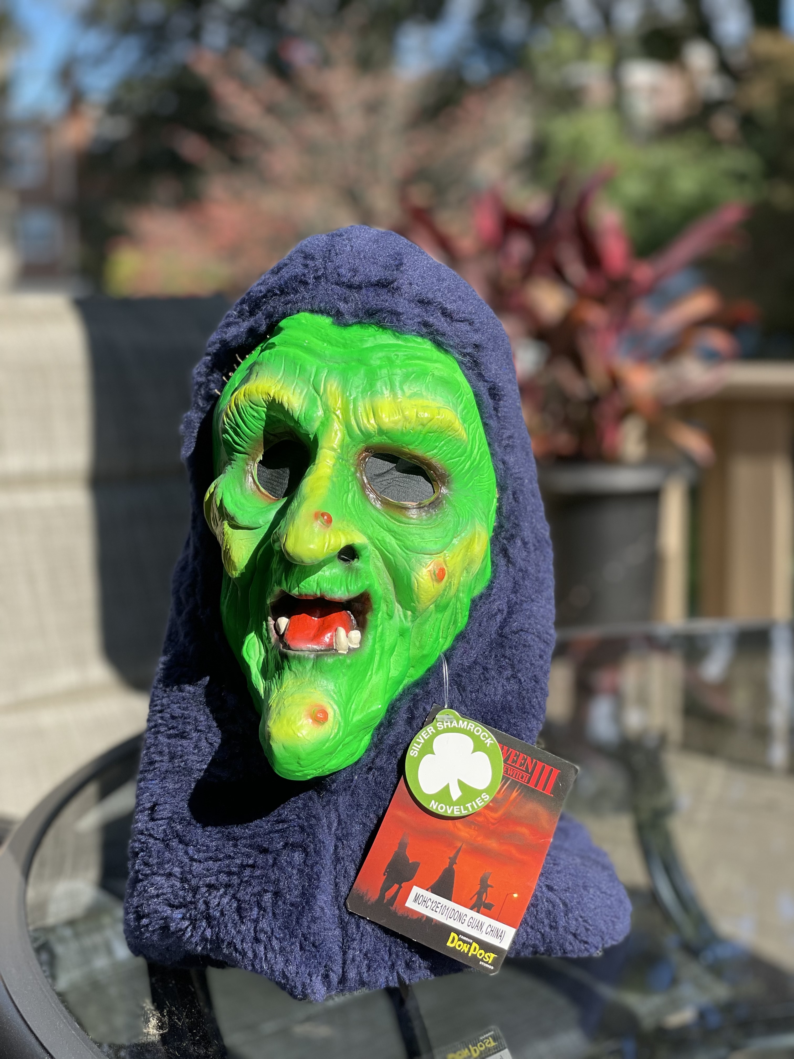 CA29F968-9C76-491E-A7BF-BEB070F35587.jpeg