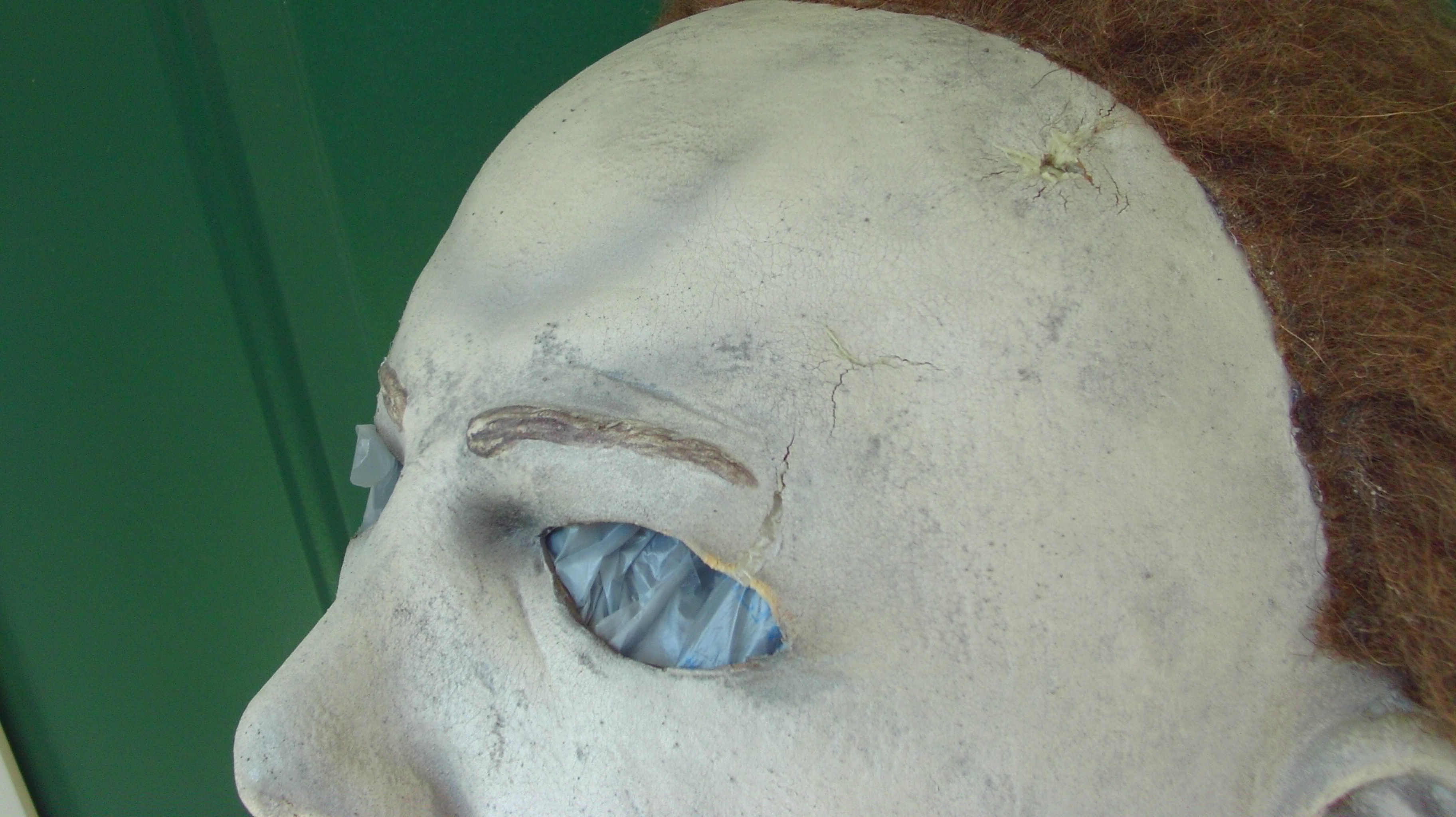IMAG0803.JPG