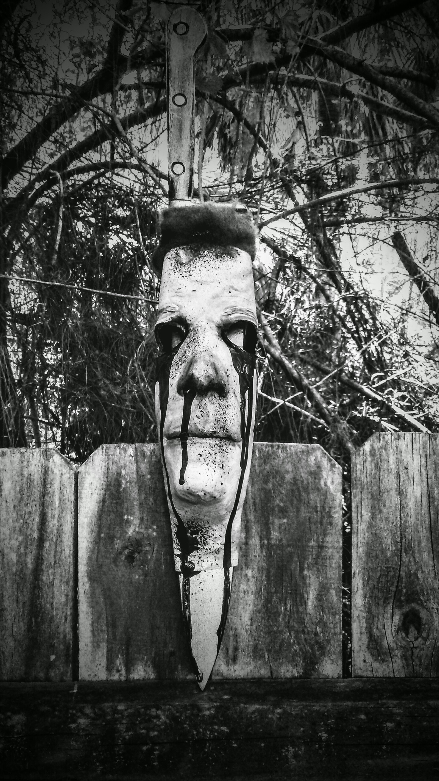 20170409_113159~3.jpg