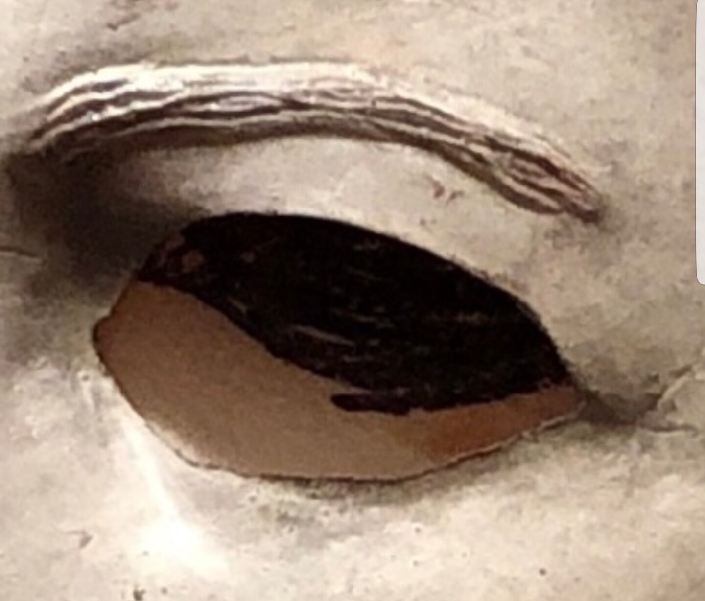 20190303_224818.jpg