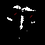 James_Polymer